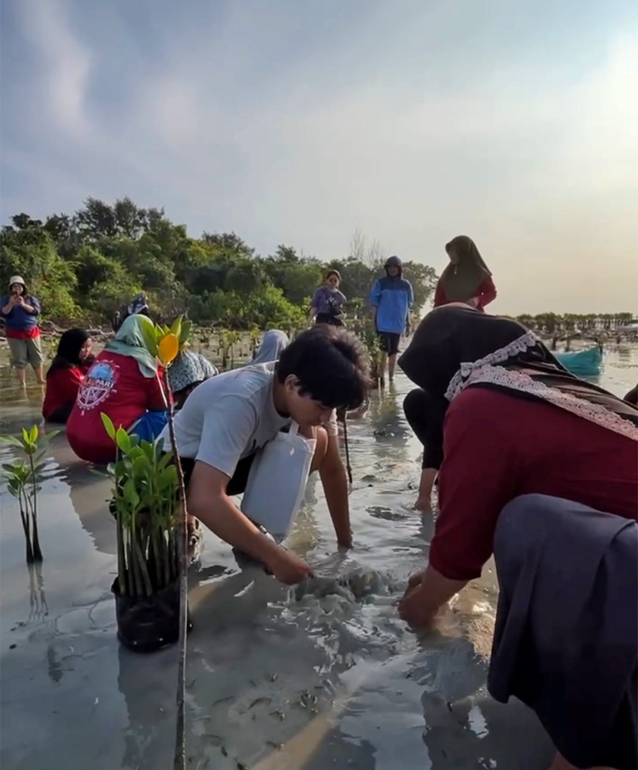 Women on Pari Island have taken action to reclaim their livelihood by planting mangroves to restore the ecosystem around the island