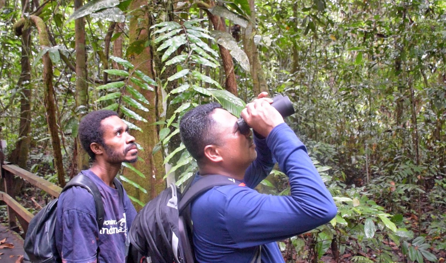 Tourists enjoy bird watching in the forest